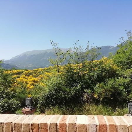 サルナーノ Luci Sui Monti Bed & Breakfast エクステリア 写真