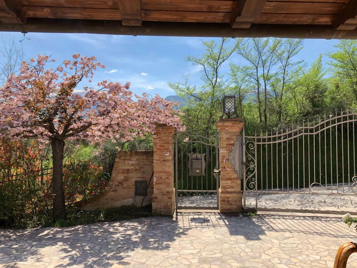 サルナーノ Luci Sui Monti Bed & Breakfast エクステリア 写真